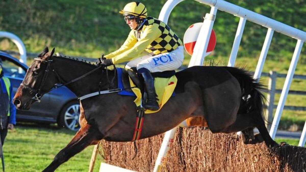 Al Boum Photo-Cheltenham