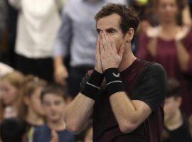 Andy Murray defeated Stan Wawrinka in the final of the European Open to win his first singles title in over two years. (Image: AP)