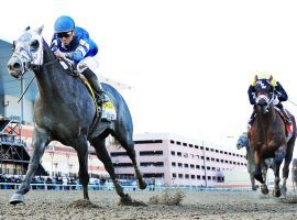 Horses won't be coming down the stretch at New York's Aqueduct Park in the foreseeable future. The track closed Thursday after a worker tested positive for the coronavirus. (Image: NYRA)