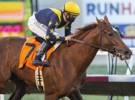 Astute sung a 7 1/2-length victory tune in the Desi Arnaz Stakes. She goes for her first Grade 1 victory in Saturday's Starlet Stakes at Los Alamitos. (Image: Benoit Photography)