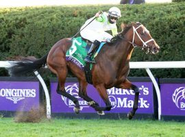 Aunt Pearl and Florent Geroux went gate-to-wire in last fall's Breeders' Cup Juvenile Fillies Turf. She is the likely favorite in the Grade 2 Edgewood on the Kentucky Oaks undercard. (Image: Coady Photography)