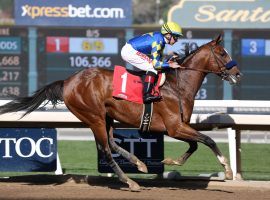 The 8/5 favorite for the San Felipe Stakes, undefeated Authentic isn't a drama-free runner. He won the Sham by 7 3/4 lengths despite inexplicably breaking for the rail twice down the stretch. (Image: OG News)