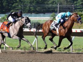 Authentic (right) held off NY Traffic to win the 2020 Haskell Stakes. That helped the eventual Horse of the Year claim a $1 million bonus for winning three prestigious races.(Image: Ryan Denver/EQUI-PHOTO)