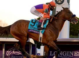 Authentic went gate-to-wire to win the Breeders' Cup Classic over an all-star field of Grade 1 stakes winners. (Image: AP Photo)