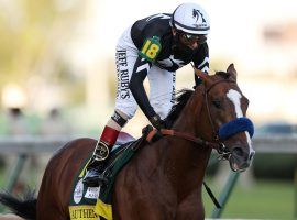 Authentic carried jockey John Velazquez to a Kentucky Derby title in September and his connections to an Eclipse Award as 2020 Horse of the Year. (Image: Gregory Shamus/Getty)