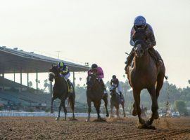 Improbable's romp to the Awesome AGain Stakes title last fall came in a Breeders' Cup Challenge Series race. This year, the Awesome Again and its other 'Win and You're In' Breeders' Cup races will run Lasix-free. (Image: Benoit Photo)