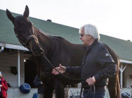 Bob Baffert won't be at Pimlico for Saturday's Preakness Stakes. But Kentucky Derby champion Medina Spirit will be. (Image: FoxNews.com)