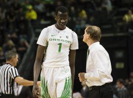 Center Bol Bol from the Oregon Ducks' coach Dana Altman. (Image: Troy Wayrynen/USA Today)