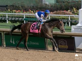 Dennis' Moment went off as the 6/5 favorite in the Fountain of  Youth. But a disappointing last-place finish has his camp puzzled. (Image: Holly M. Smith Photography)