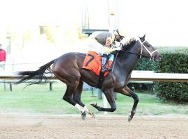 Caddo River brings front-end speed, two-turn experience and Oaklawn familiarity to Saturday's Grade 2 Rebel Stakes. (Image: Coady Photography/Oaklawn Park)