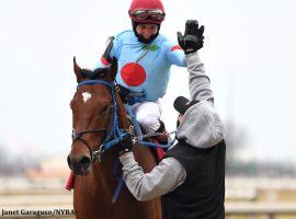 Jockey Dylan Davis had plenty of high-fives to deliver after delivering a 6 3/4-length victory aboard Capo Kane in the Jerome. Davis and Capo Kane are the 3/1 second-favorite in Saturday's Withers Stakes at Aqueduct. (Image: Janet Garaguso/NYRA)