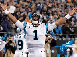 Carolina Panthers quarterback Cam Newton celebrates after a touchdown in the NFC Championship game during the 2015 NFL season. (Image: Jeremy Brevard/USA Today Sports/Reuters)