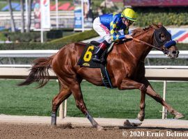 By winning his first race in spectacular fashion, Charlatan drew comparisons to former Bob Baffert trainee Justify. Can he justify those comparisons? (Image: Ernie Belmonte)