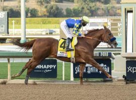 Trainer Bob Baffert called Charlatan's Malibu Stakes win 'pure brilliance.' He would take more of that from his 9/5 favorite in Saturday's $20 million Saudi Cup. (Image: Benoit Photo)