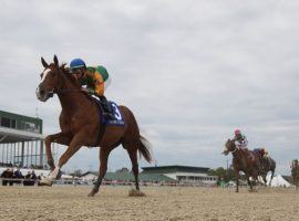 Classic Causeway's easy victory in the Sam F. Davis makes him the one bettors figure to key in the Tampa Bay Derby. That's the penultimate leg to this week's Cross Country Pick 5. (Image: Spencer Tulis/SV Photography)