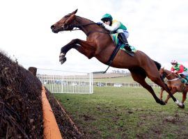 Cloth Cap flies into the 2021 Grand National as a prohibitive favorite for reasons ranging from age to form. (Image: Focusonracing)