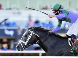 Colonel Liam leads the way into the Jan. 29 Pegasus World Cup Turf Invitational. He won the Grade 1 race last year. (Image: Ryan Thompson/Coglianese Photos)