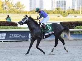 Colonel Liam's victory in the $1 million Pegasus World Cup Turf certainly earned a thumbs-up from jockey Irad Ortiz Jr. Could he be the older American turf star that division needs? (Image: Lauren King/Coglianese Photos)