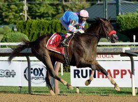 Come Dancing owns the best speed figures in a deep, Breeders' Cup Filly & Mare Sprint field. But her recent form puts her behind her competitors. (Image: RMP/Spendthrift Farm)