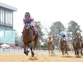 When Stablemates Clash in the Triple Crown