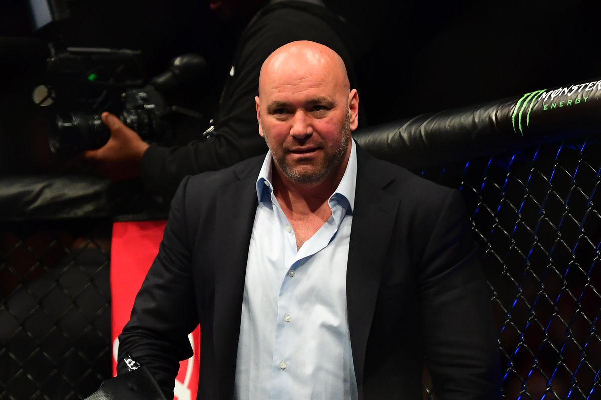 Dana White UFC extension