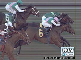 Viadera (6) stuck her nose in front of stablemate Blowout to win the Grade 1 Matriarch Stakes at Del Mar. The exciting finish capped aa record handle for Del Mar's Bing Crosby Meet. (Image: Del Mar Thoroughbred Club)