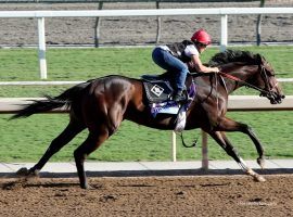 Dennis' Moment is one of the early favorites for the Kentucky Derby. He makes his 3-year-old debut Saturday in the Fountain of Youth Stakes.