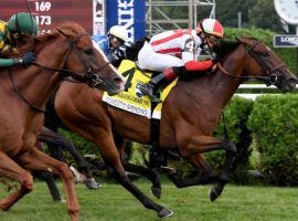 Domestic Spending beat Gufo, Decorated Invader and Get Smokin in August's Saratoga Derby. He comes west and faces all three foes again in Saturday's Hollywood Derby at Del Mar. (Image: Coglianese Photos/NYRA)