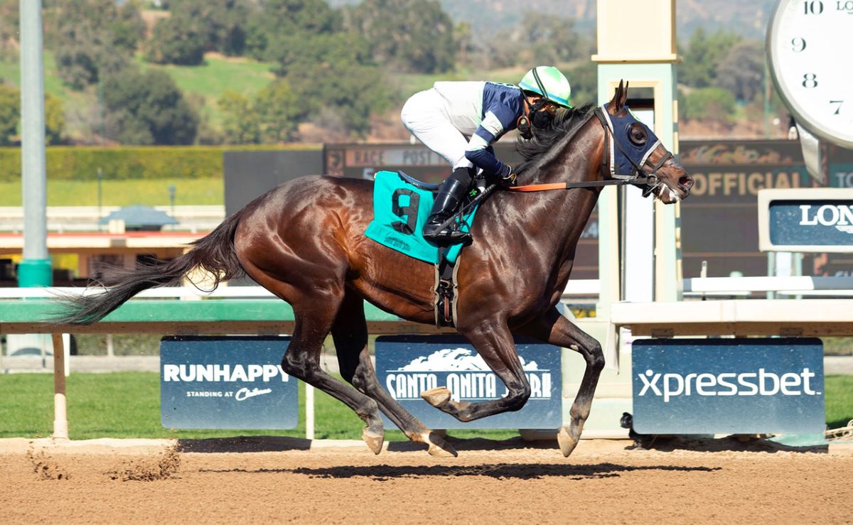 Dream Shake-Del Mar Opener