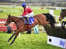 One British bettor is making a leap of faith on unbeaten jumper Envoi Allen. He stands to win more than Â£511,000 pounds if the 4/9 favorite wins the Marsh Novices' Chase at Cheltenham Thursday. (Image: Healy Racing)