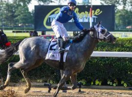 Jockey Luis Saez won Saturday's Belmont Stakes for his first Triple Crown victory. He piloted 6/5 favorite Essential Quality to his third stakes win in 2021. (Image: Wendell Cruz/USA Today Sports)