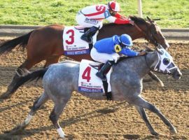 Essential Quality (4) nipped Highly Motivated in last year's Grade 2 Blue Grass Stakes. That race was one of three upgraded to Grade 1 status for 2022. (Image: Keeneland/Coady Photography)