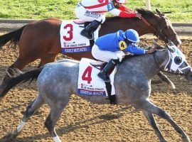 Essential Quality's Blue Grass Stakes wire victory over Highly Motivated was the Champion 2-Year-Old's fifth consecutive win. After finishing fourth in the Kentucky Derby, the colt seeks to rebound as the 2/1 morning-line favorite in the 153rd Belmont Stakes. (Image: Kentuckyderby.com)