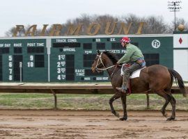 Formerly known as Fairmount Park, FanDuel Racing is ground zero for a battle between the Illinois Horsemen's Benevolent and Protection Association and Churchill Downs Inc. over whether CDI can operate its TwinSpires ADW in the state. (Image; Derik Holtmann/Belleville News-Democrat)