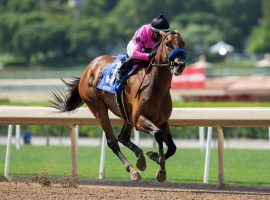 Fighting Mad captured the Grade 2 Santa Maria Stakes last May over Hard Not To Love. The two meet again in Saturday's Grade 2 La Canada Stakes at Santa Anita Park. (Image: Benoit Photo)