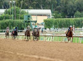 This daylight victory in last Saturday's San Felipe Stakes is one big reason why Forbidden Kingdom is the 5/1 favorite in Pool 4 of the Kentucky Derby Future Wager. (Image: Benoit Photo)