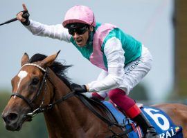 Yes, jockey Frankie Dettori is No. 1 again -- for the fourth time in six years. The Italian-born, British rider was named the World's Top Jockey by the International (Edward Whitaker)