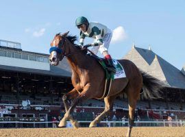 Standout filly Gamine is in trouble again after testing positive for excessive amounts of an anti-inflammatory after last month's Kentucky Oaks. (Image: Skip Dickstein/For the Times Union)