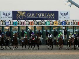 The $3 million Pegasus World Cup Invitational is one of 36 graded stakes on Gulfstream Park's 2020-21 Championship Meet schedule. The south Florida track opens its 84-day meet Wednesday. (Image: Getty)