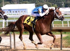 Happy Saver's connections passed on running him in the Preakness for the Jockey Club Gold Cup. He is the 2/1 second choice in Saturday's featured Grade 1 at Belmont Park. (Image: Jim McCue/Maryland Jockey Club)