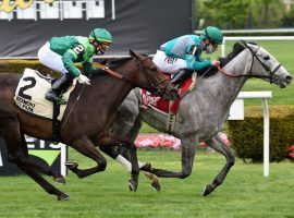 Harvey's Lil Goil (right) held off Lemista to win the Grade 3 Beaugay in May. The two tangle again in Saturday's Grade 1 Diana Stakes at Saratoga. (Image: Coolmore Farm)