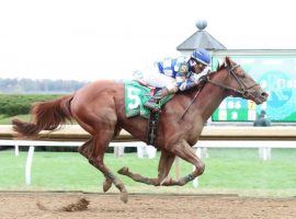 Hidden Stash has a likely Kentucky Derby berth, courtesy of trainer Chad Brown selecting only one of his two Derby qualifiers to run at Churchill Downs. (Image: Coady Photography)