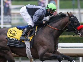 Hot Rod Charlie owns the second-fastest Beyer Speed Figure of anyone in the Kentucky Derby field. His trainer, Doug O'Neill, owns two Kentucky Derby victories in the last nine years. (Image: Ernie Belmonte)