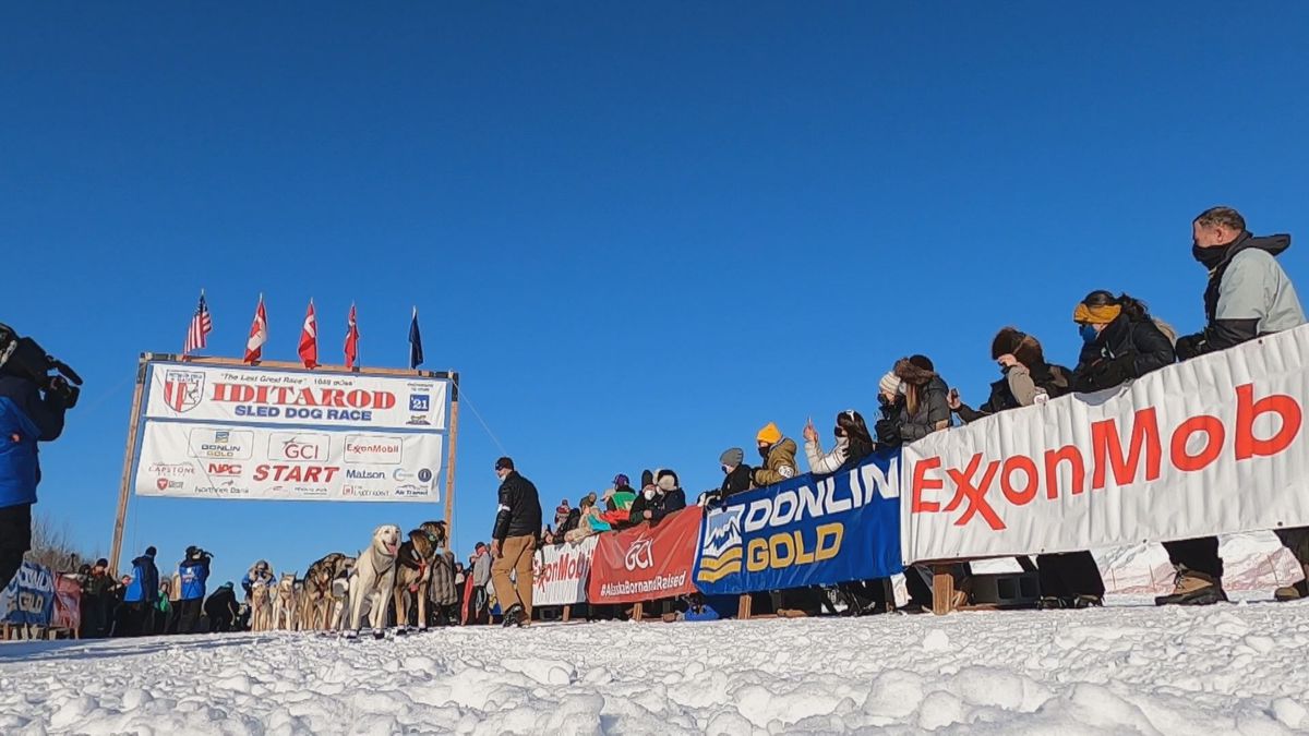 2021 Iditarod Alaska sled dog race start Deshka Landing