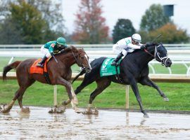 Independence Hall (right), held off Code of Honor in the Keeneland slop to win Saturday's Grade 2 Fayette. This final stakes race of Keeneland's Fall Meet helped the track bring in a record handle. (Image: Coady Photography)