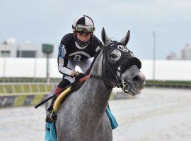 Irad Ortiz rode R Mercedes Boy to victory in Gulfstream Park's ninth race. That was his sixth victory Saturday. (Image: Gulfstream Park Photo)