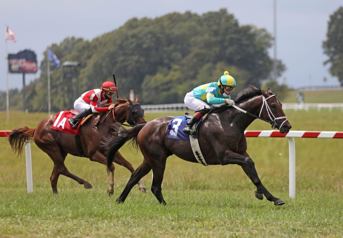 Kentucky Downs-NYRA impasse