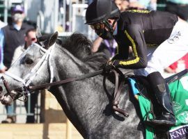 If Knicks Go gets an unchallenged lead like he did in blitzing the field ini the Breeders' Cup Dirt Mile, the Pegasus World Cup will be over in short order. The 5-year-old is the 5/2 favorite in the $3 million race. (Image: Coady Photography/Keeneland)