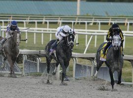 Knicks Go (right) illustrated why he is one of 2021's star racing attractions, blazing past his rivals to win the $3 million Pegasus World Cup. (Image: Associated Press)