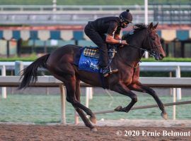 Life Is Good won his debut by 9 1/2 lengths Sunday afternoon. He made enough of an impression to open at 12/1 on William Hill Nevada's Kentucky Derby Futures Board. (Image: Ernie Belmonte)